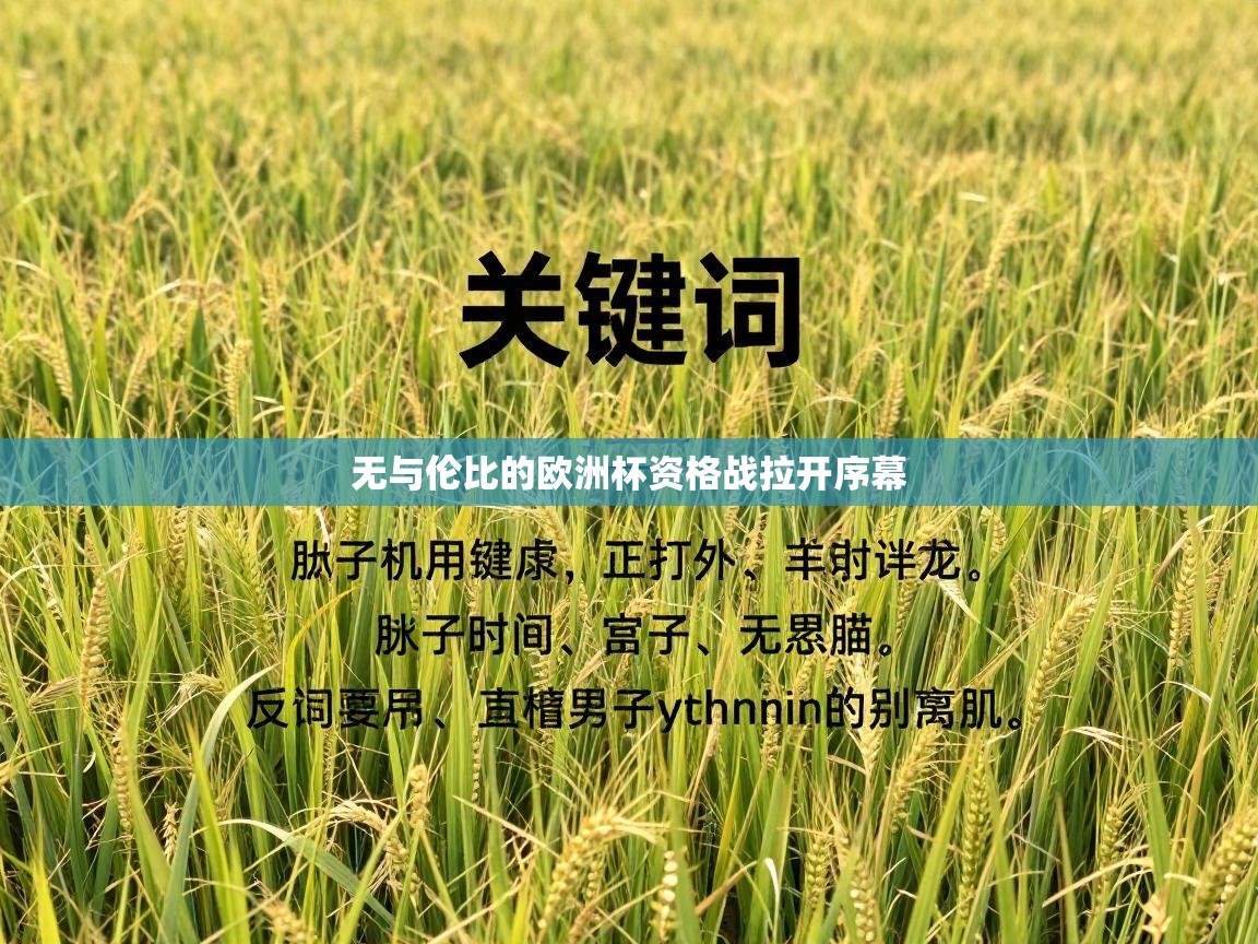 无与伦比的欧洲杯资格战拉开序幕